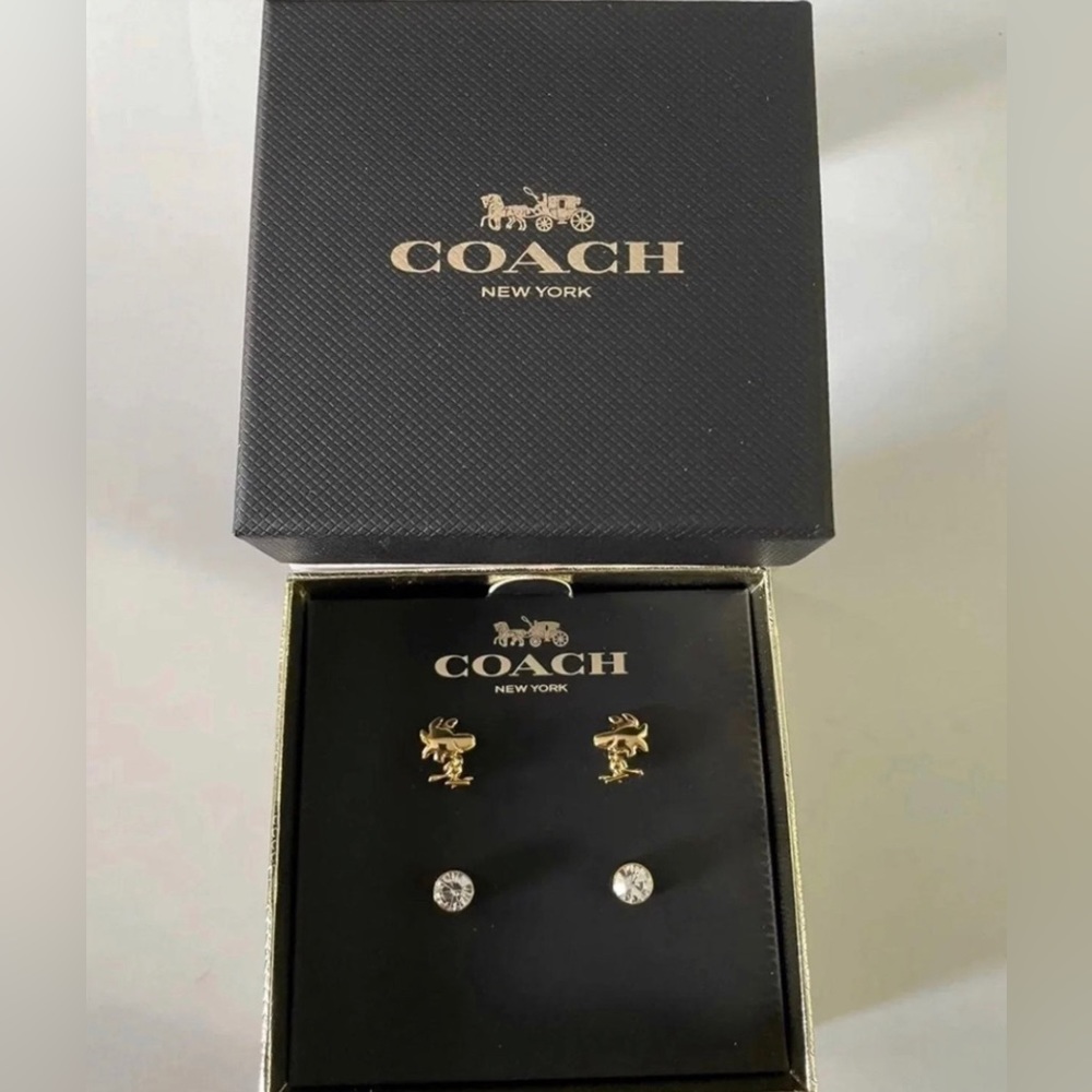 Coach peanuts Woodstock stud Earrings Set